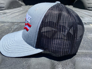 Grey and Black Snap Back with Color Logo
